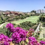 1 7980e48d732b6fc85c14b43b94d2aa54 1 - Lion Trust Spain