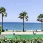 22 bcf8e6250e0bab365f900a8ac31ac040 - Lion Trust Spain