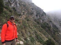 WhatsApp Image 2020 04 11 at 2.11.52 PM Custom - Lion Trust Spain