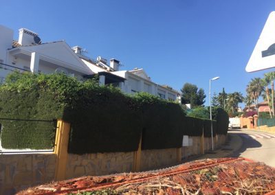 13 2 - Lion Trust Spain