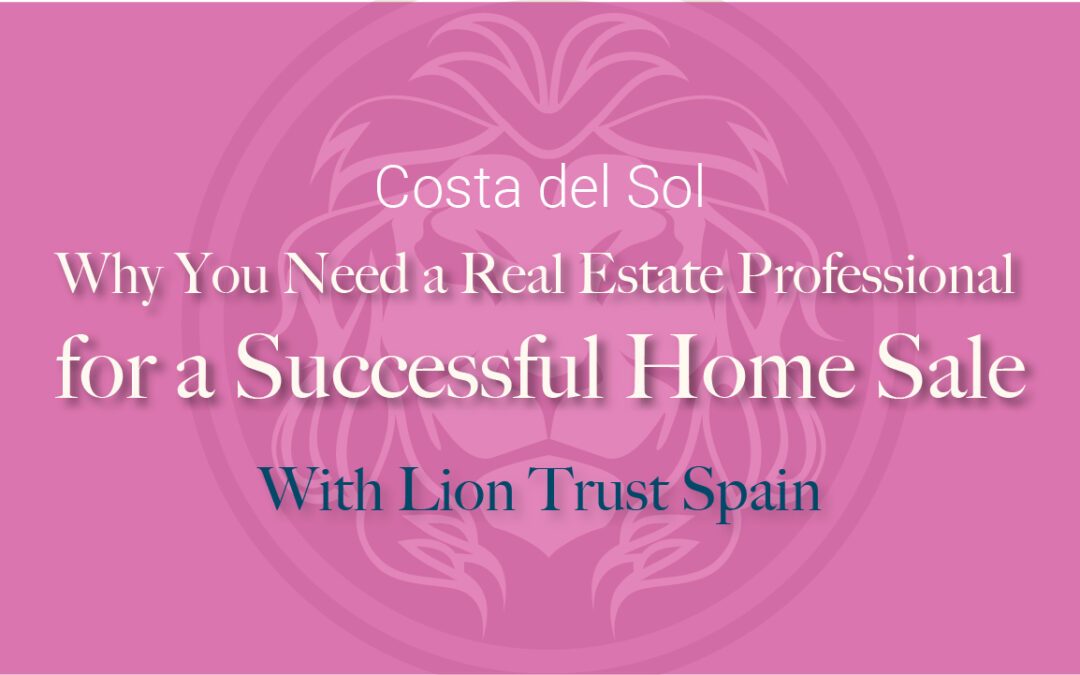 9 Reasons Why You Need a Real Estate Professional for a Successful Sale | Lion Trust Spain