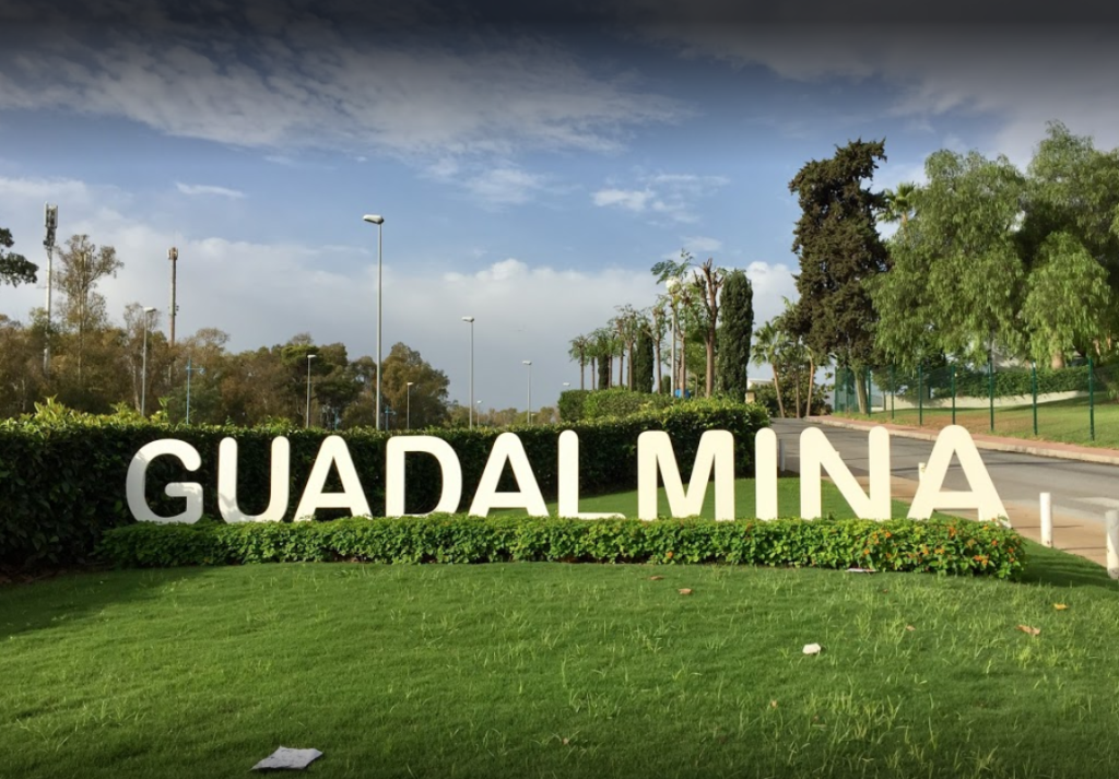 Discovering Excellence in Guadalmina Real Estate: Lion Trust Property